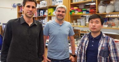 La IA descubre antibióticos en arqueas, los microorganismos que explican el origen de la vida compleja