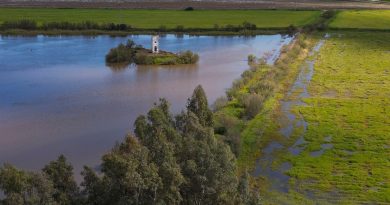 La subida del nivel del mar amenaza a 13 millones de agricultores en todo el mundo
