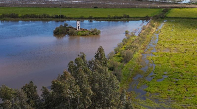 La subida del nivel del mar amenaza a 13 millones de agricultores en todo el mundo La subida del nivel del mar amenaza a 13 millones de agricultores en todo el mundo