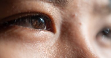 ¿Por qué lo que está lejos se ve más pequeño?