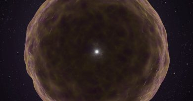 La primera observación del interior de una estrella abre una ventana sin precedentes al nacimiento de la materia