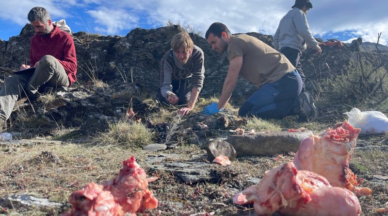 Investigadores españoles resucitan a ‘los fantasmas’ de los campamentos neandertales