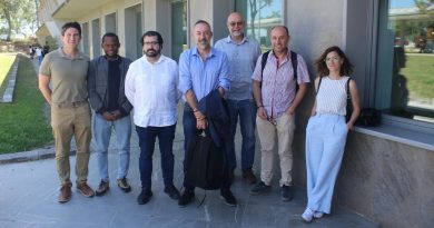 Un tinte para crear cristales que imitan al iris facilita la conversión de rascacielos e invernaderos en centrales energéticas