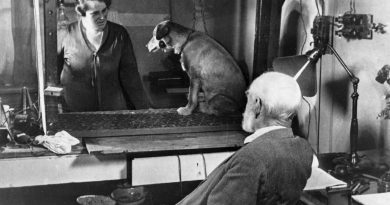 El perro de Pávlov y su relación con el efecto placebo