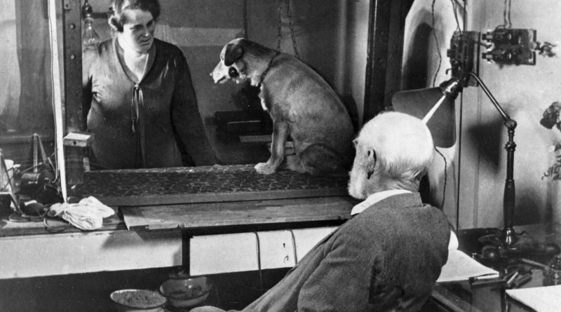 El perro de Pávlov y su relación con el efecto placebo