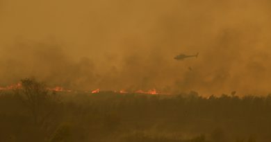 Última hora de los incendios en España, en directo |El incendio en un municipio de Ourense ya es el más grande de la historia de Galicia tras quemar 16.000 hectáreas