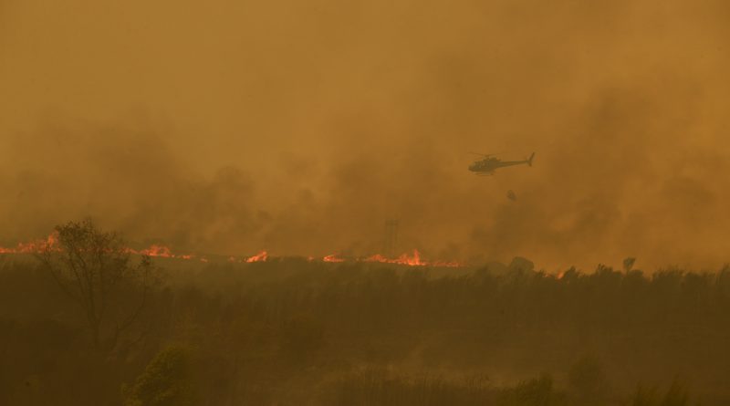 Última hora de los incendios en España, en directo |El incendio en un municipio de Ourense ya es el más grande de la historia de Galicia tras quemar 16.000 hectáreas Última hora de los incendios en España, en directo |El incendio en un municipio de Ourense ya es el más grande de la historia de Galicia tras quemar 16.000 hectáreas