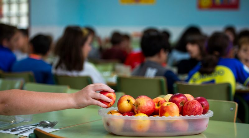 Un gran estudio confirma la relación entre seguir una dieta respetuosa con el planeta y una menor mortalidad Un gran estudio confirma la relación entre seguir una dieta respetuosa con el planeta y una menor mortalidad