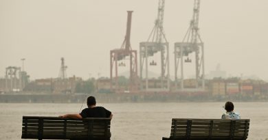 Una investigación revela cómo la contaminación puede desencadenar cambios dañinos en el cerebro que llevan a la neurodegeneración