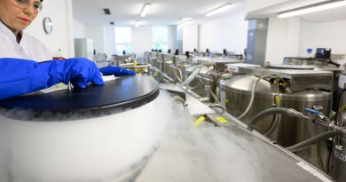 ¿Qué tejidos se pueden regenerar con células madre?