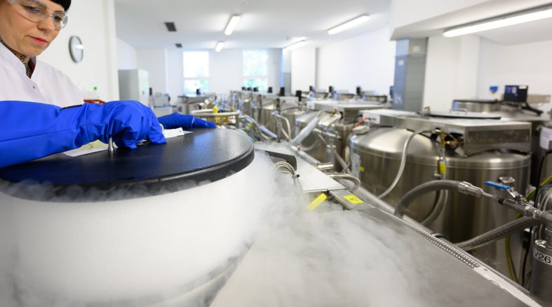 ¿Qué tejidos se pueden regenerar con células madre? ¿Qué tejidos se pueden regenerar con células madre?