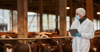 Las primeras grandes epidemias llegaron con el desarrollo de la ganadería, según el análisis de ADN prehistórico