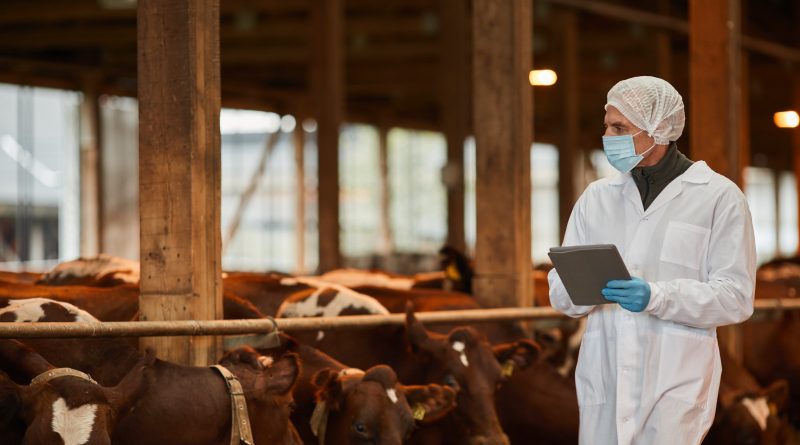 Las primeras grandes epidemias llegaron con el desarrollo de la ganadería, según el análisis de ADN prehistórico