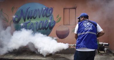 Dos de los mosquitos más dañinos han salido reforzados de su relación con los humanos