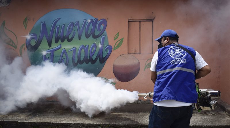 Dos de los mosquitos más dañinos han salido reforzados de su relación con los humanos Dos de los mosquitos más dañinos han salido reforzados de su relación con los humanos