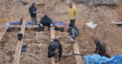Las bacterias se unieron al frío y al hambre en la derrota de las tropas de Napoleón en Rusia