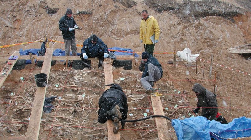 Las bacterias se unieron al frío y al hambre en la derrota de las tropas de Napoleón en Rusia Las bacterias se unieron al frío y al hambre en la derrota de las tropas de Napoleón en Rusia