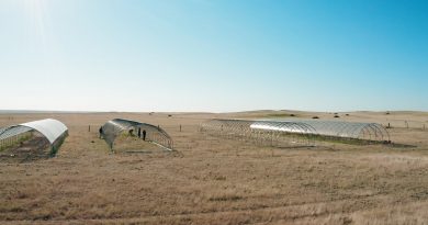 Así se cuela la aridez en la mitad de la superficie terrestre