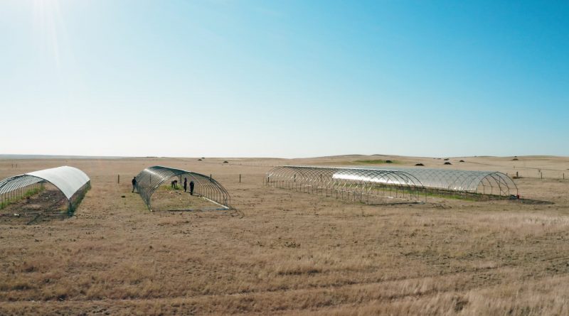 Así se cuela la aridez en la mitad de la superficie terrestre