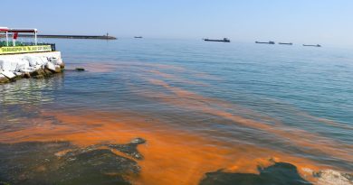 ¿Se puede detectar la polución de las aguas atendiendo a las señales de peligro que emite la naturaleza?