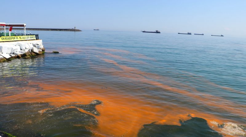 ¿Se puede detectar la polución de las aguas atendiendo a las señales de peligro que emite la naturaleza?