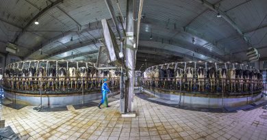 El planeta es nuestra granja: por cada animal salvaje hay 10 para consumo o domésticos