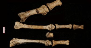 ‘Lucy’ no estaba sola: un misterioso pie de hace 3,4 millones de años complica la evolución humana