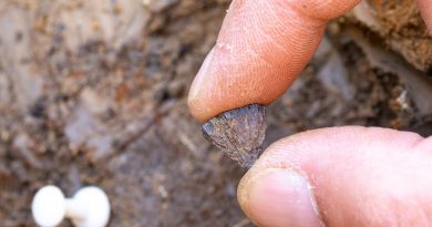 Los neandertales encendieron el primer fuego de la humanidad