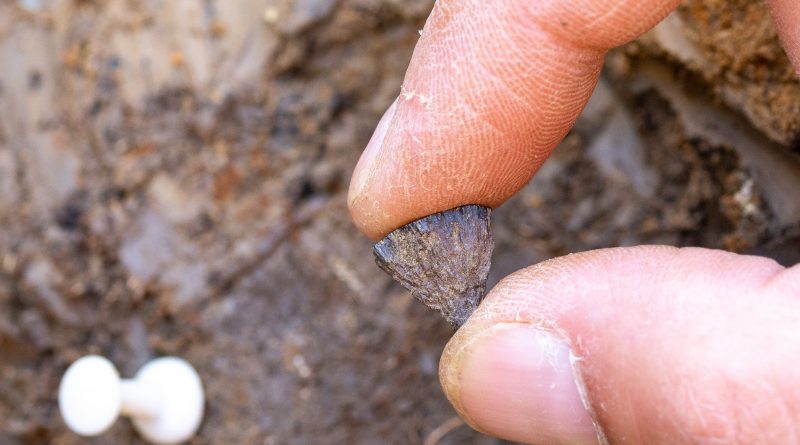 Los neandertales encendieron el primer fuego de la humanidad Los neandertales encendieron el primer fuego de la humanidad