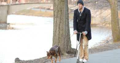 Quiero a mi perro de vuelta: el auge de la clonación de mascotas, un negocio entre “el amor eterno” y la “explotación inaceptable”