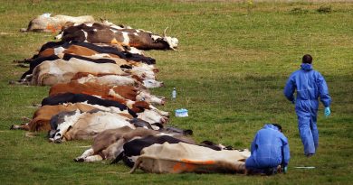 Descontrol en los laboratorios: cientos de accidentes exponen el riesgo “catastrófico” de fuga de patógenos peligrosos