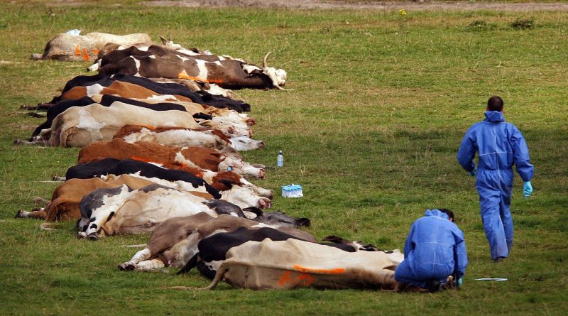 Descontrol en los laboratorios: cientos de accidentes exponen el riesgo “catastrófico” de fuga de patógenos peligrosos