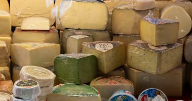 ¿Puede el queso proteger la salud de tu cerebro? Esto es lo que dice la ciencia