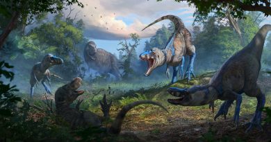 No era un joven T-rex, sino una nueva especie: el nanotirano acaba con una controversia científica de décadas