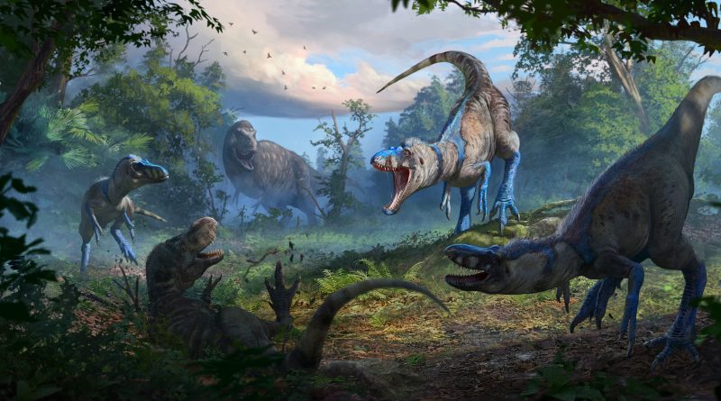 No era un joven T-rex, sino una nueva especie: el nanotirano acaba con una controversia científica de décadas No era un joven T-rex, sino una nueva especie: el nanotirano acaba con una controversia científica de décadas