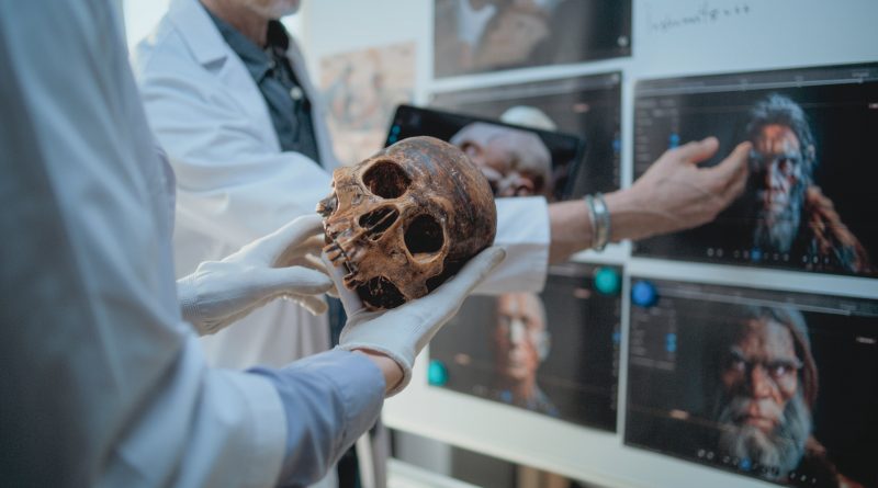 ¿Desde cuándo existimos los seres humanos?