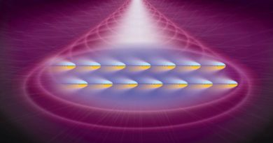 Las formas topológicas de la materia que surgen en el mundo cuántico