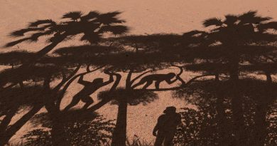 Un fémur de siete millones de años reaviva una larga y feroz guerra científica sobre el origen del bipedalismo