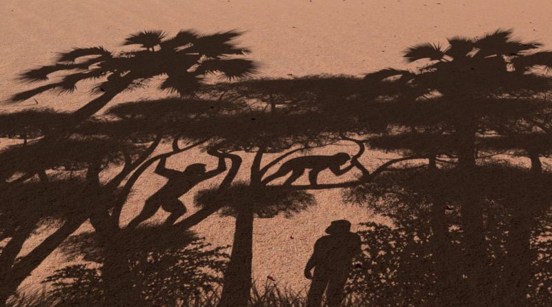 Un fémur de siete millones de años reaviva una larga y feroz guerra científica sobre el origen del bipedalismo