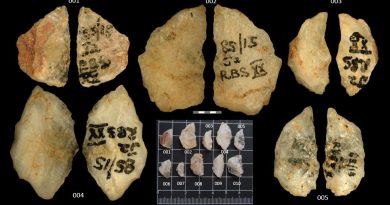 Veneno en flechas de hace 60.000 años: hallada la prueba más antigua de su uso en armas humanas